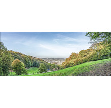 Vue panoramique d''un paysage avec des collines, des arbres et une ville en arrière-plan