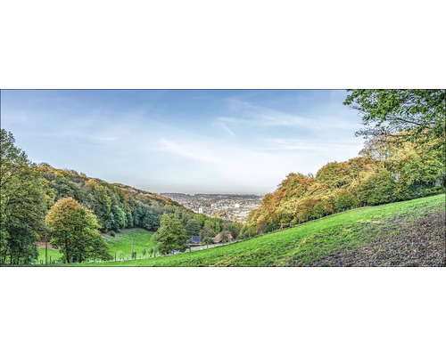 Vue panoramique d''un paysage avec des collines, des arbres et une ville en arrière-plan