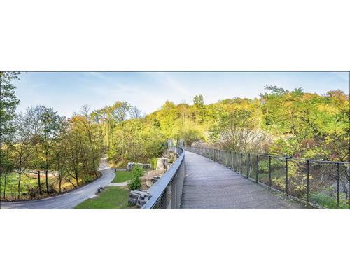 Tableau en verre Ligne ferroviaire Sambatrasse sur le zoo Wuppertal 125x50 cm Vue paysagère avec passerelle piétonne, entourée d''arbres et d''espaces verts.