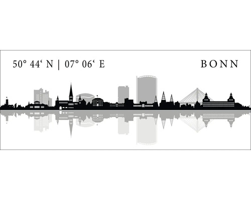 Tableau en verre Bonn V 80x30 cm