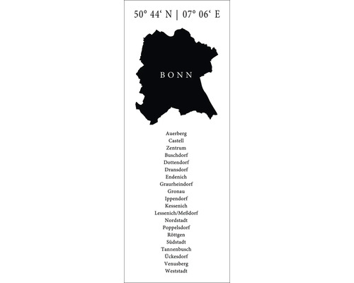 Tableau en verre Bonn VIII 30x80 cm