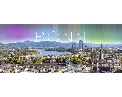 Tableau en verre Bonn XII 125x50 cm