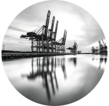Photo en noir et blanc de portiques de chargement de conteneurs dans le port avec reflet dans l''eau.