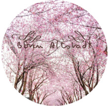 Allée d''arbres Bonn Altstadt avec des fleurs roses