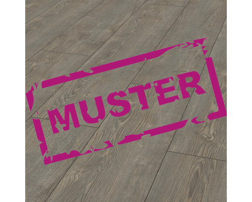 Handmuster zu Laminat Exquisit Plus Ruby Eiche Platin Landhausdiele 1380 x 244 x 8 mm Laminatboden mit Musteraufdruck