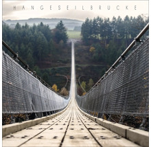 Vue d''un long pont suspendu avec plancher en bois