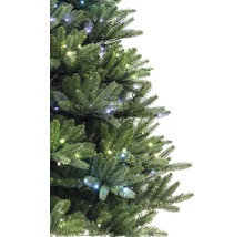 Détail d''un arbre de Noël décoré avec des lumières