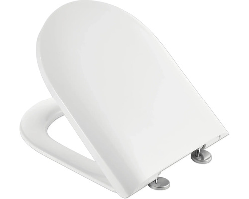 Toilettendeckel mit Absenkautomatik