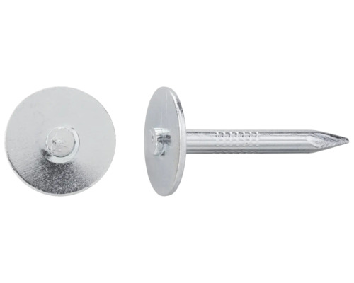 Zwei Stahlnägel mit Scheibenkopf