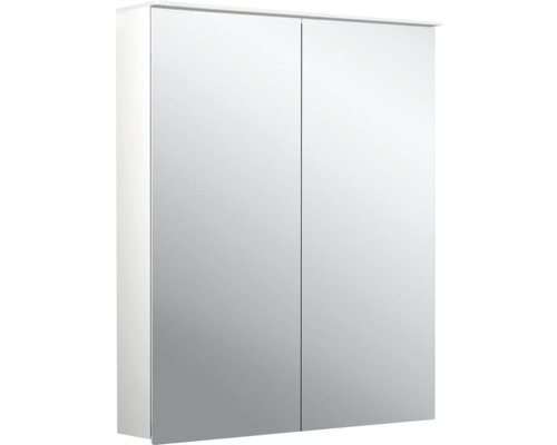 Armoire de toilette Emco Flat 2 60 x 11,3 x 71,1 cm coloris aluminium 2 portes led IP 20