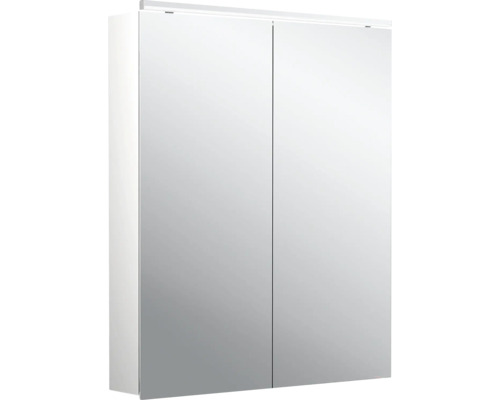 Armoire de toilette Emco Flat 2 60 x 11,3 x 72,9 cm coloris aluminium 2 portes led IP 20