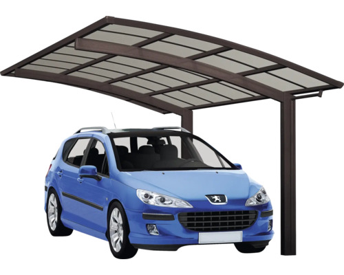 Voiture sous abri de voiture avec structure en acier