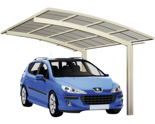 Voiture sous un abri de voiture