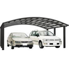 Doppelcarport mit zwei geparkten Autos