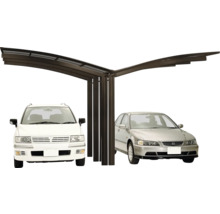 Double abri de voiture avec deux voitures garées