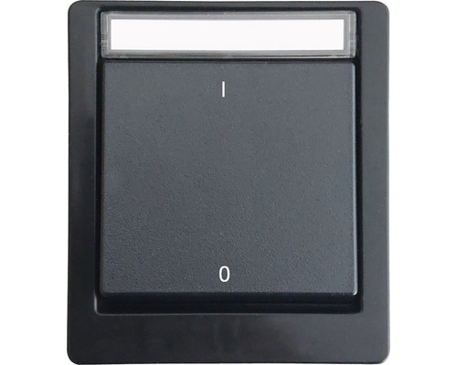 Interrupteur 2 pôles pour pièce humide ROTH LANGE 56619 IP55 avec champ d'inscription noir gris