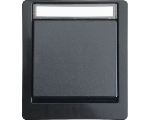 Poussoir/Contact inverseur pour pièce humide ROTH LANGE 56622 IP55 avec champ d'inscription noir gris