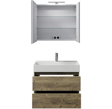 Badezimmermöbel-Set mit Spiegelschrank, Waschbecken und Unterschrank
