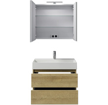 Badezimmermöbel-Set mit Waschbecken, Unterschrank und Spiegelschrank