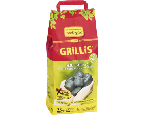 Charbon de bois Briquettes ProFagus 2,5 kg