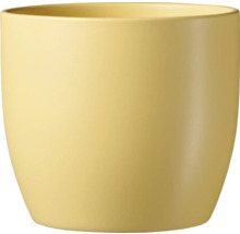 Gelber Blumentopf