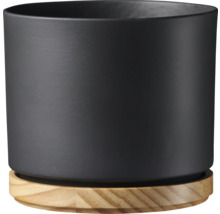 Pot de fleurs Soendgen céramique bois Ø 19 cm 19 x 19 x 16 cm gris