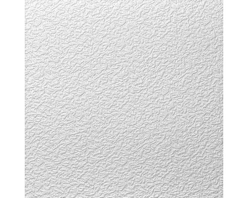 Dalle de plafond PSE AP103 50 x 50 x 1 cm 2 m² dans le pack Gros plan d''une surface texturée blanche.