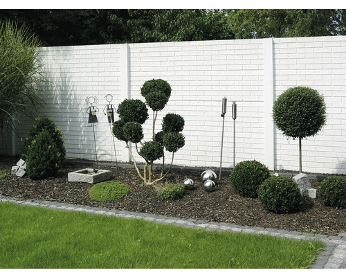 Gestalteter Garten mit Buchsbäumen, Dekoration und einer weißen Mauer