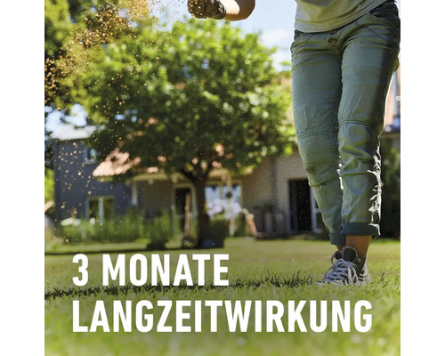 Person düngt Rasen mit Langzeitwirkung für drei Monate.