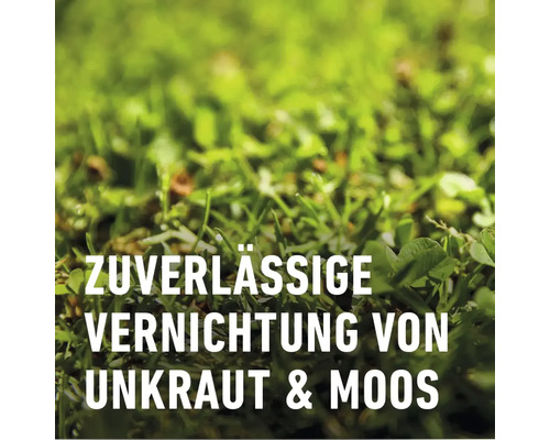 Nahaufnahme von Rasen mit der Aufschrift zuverlässige Vernichtung von Unkraut und Moos.