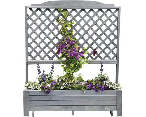 Blumenkasten mit Rankgitter und Bepflanzung