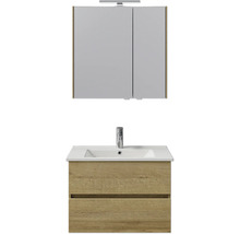 Badezimmer-Set mit Waschtischunterschrank, Waschbecken und Spiegelschrank