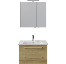 Badezimmermöbelset mit Waschtischunterschrank, Waschbecken und Spiegelschrank