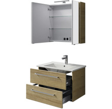 Badezimmer Waschbeckenunterschrank und Spiegelschrank Kombination