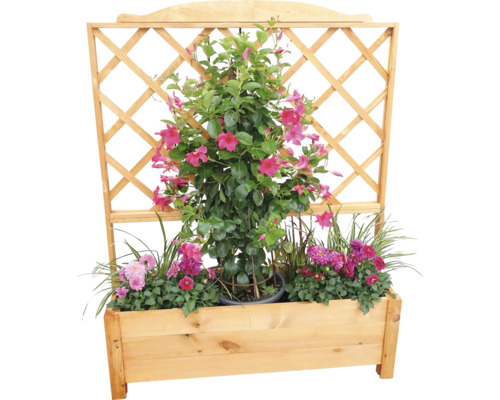 Blumenkasten aus Holz mit Rankgitter und blühenden Pflanzen