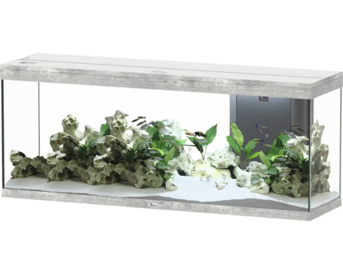 Aquarium aquatlantis Splendid 300 y compris éclairage, filtre aspect pierre Aquarium avec décorations, plantes et poissons