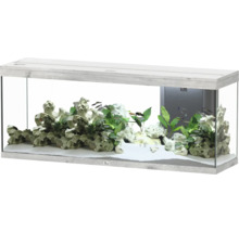 Aquarium avec décoration et poissons
