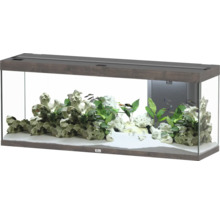 Aquarium avec poissons, plantes et pierres