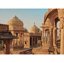 Vue détaillée de bâtiments en grès sculptés de manière artistique avec des dômes et des colonnes