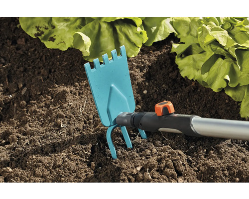 Sarcloir de jardin utilisé dans la terre à côté de plants de salade.