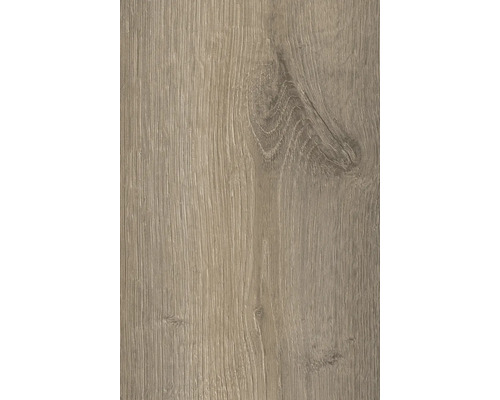 Échantillon stratifié Historic Earth plancher de maison de campagne 1383 x 193 x 12 mm Gros plan d''une structure en bois pour revêtements de sol