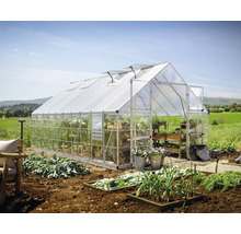 Serre avec plantes et jardin à l''extérieur