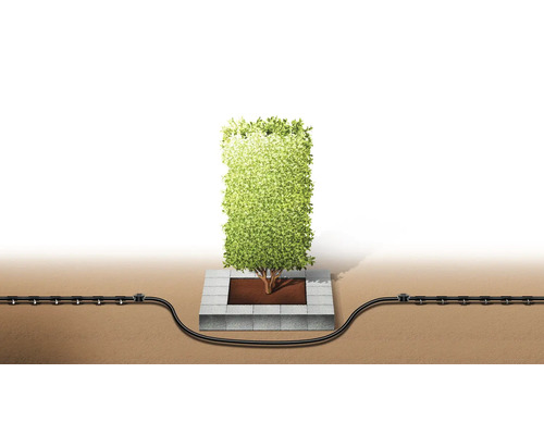 Système d''irrigation pour les haies dans le jardin