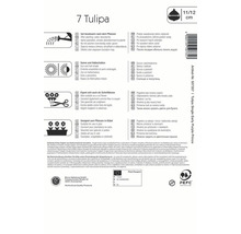 Informations sur la tulipe : arrosage, exposition au soleil, aptitude à être coupée, plantation en pot