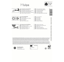 Informations sur les bulbes de tulipes