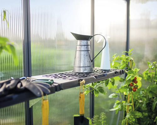 Vue intérieure d''une serre avec étagère, arrosoir, vaporisateur et outils de jardinage