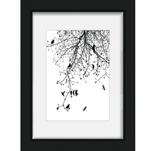 Gerahmtes Wandbild mit Baum, Vögeln und Libellen als grafische Darstellung