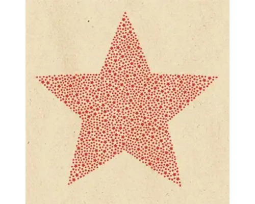 Serviettes de Noël ByN Brilliant Star Serviettes de Noël ByN Brilliant Star
