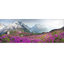 Berglandschaft mit blühender Wiese im Vordergrund