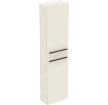 Armoire haute à deux portes pour la salle de bain